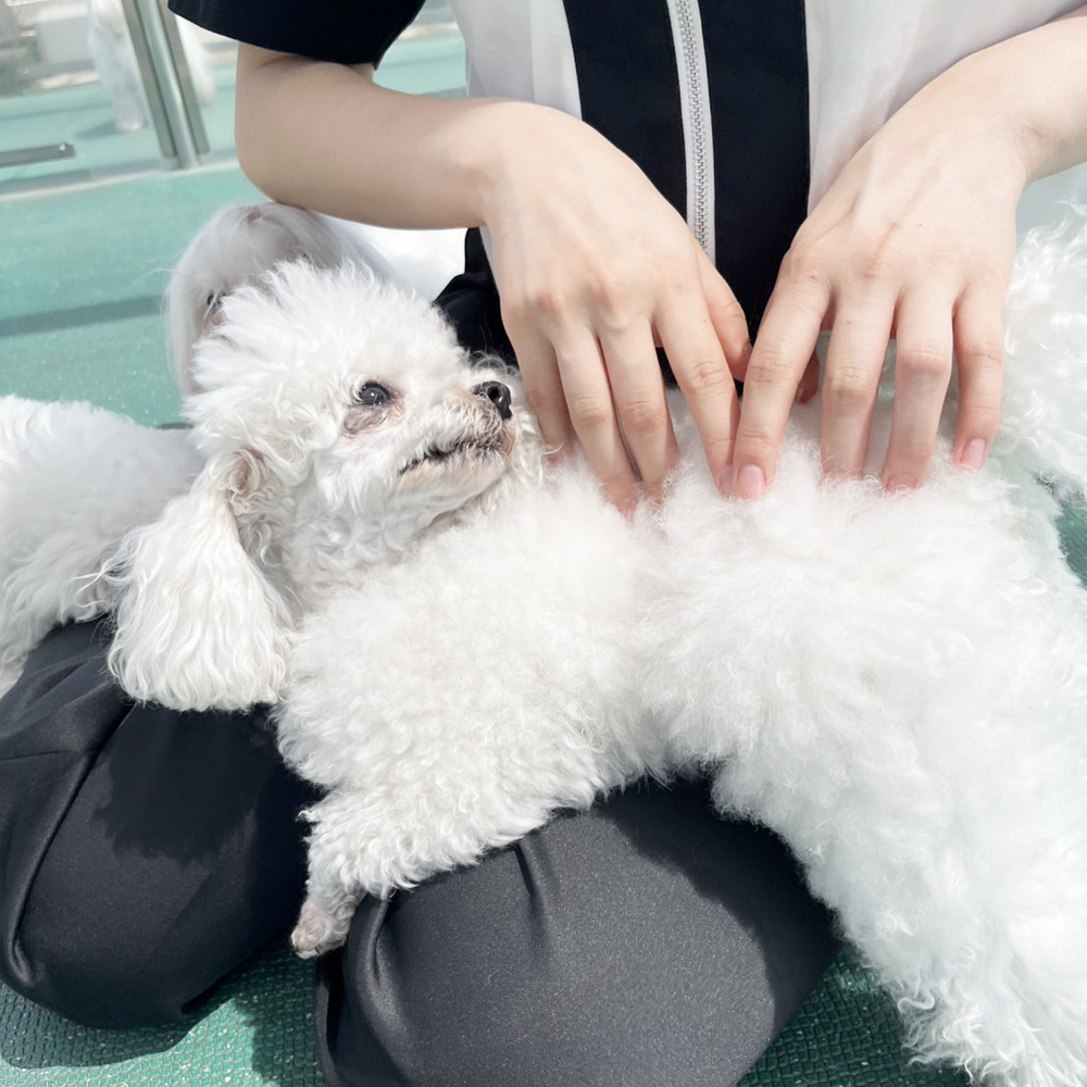 生徒が撮影したモデル犬写真♪②